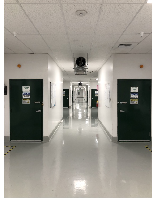 Finished clean corridors