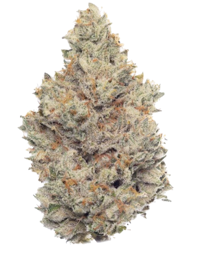 Premium cannabis flower